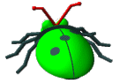 Greenback Bug